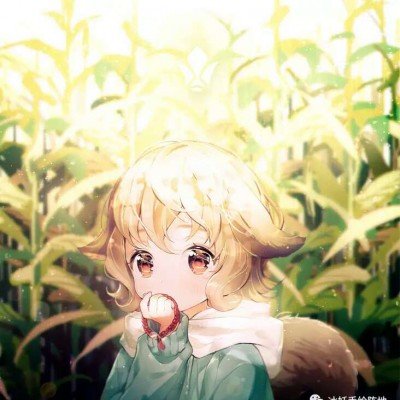 金鹰奖投票